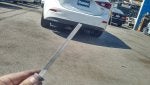 IMG_20160606_1603012.jpg